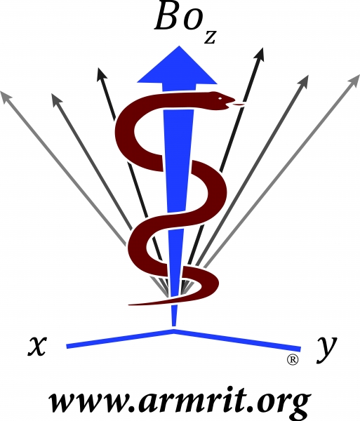 6019-105 The What, How, and Whys of Functional MRI